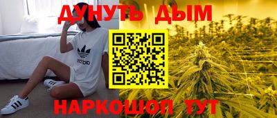 a pvp Краснознаменск
