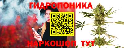 a pvp Краснознаменск