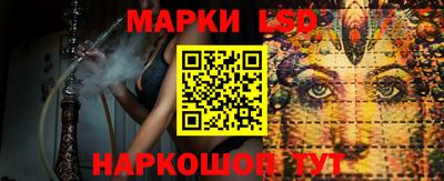 гидра Краснокаменск