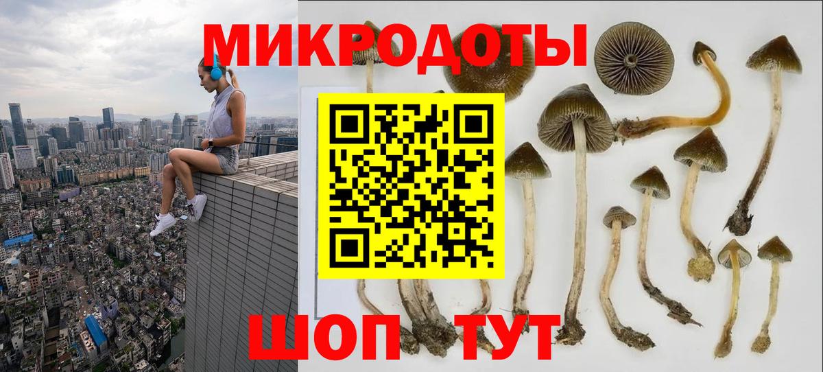 Ессентуки  Псилоцибиновые грибы мухоморы  Вход с VPN 